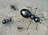 FORMIGA DE METAL GIGANTE