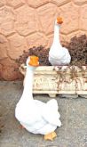 ENCOMENDA SRA. ANDREA - PÇS. PARA O JARDIM